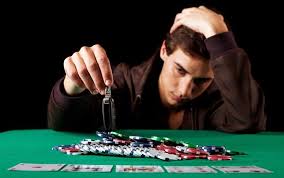 Как войти на сайт Kaktuz Casino
